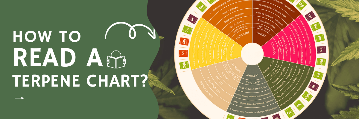 How to Read a Terpene Chart