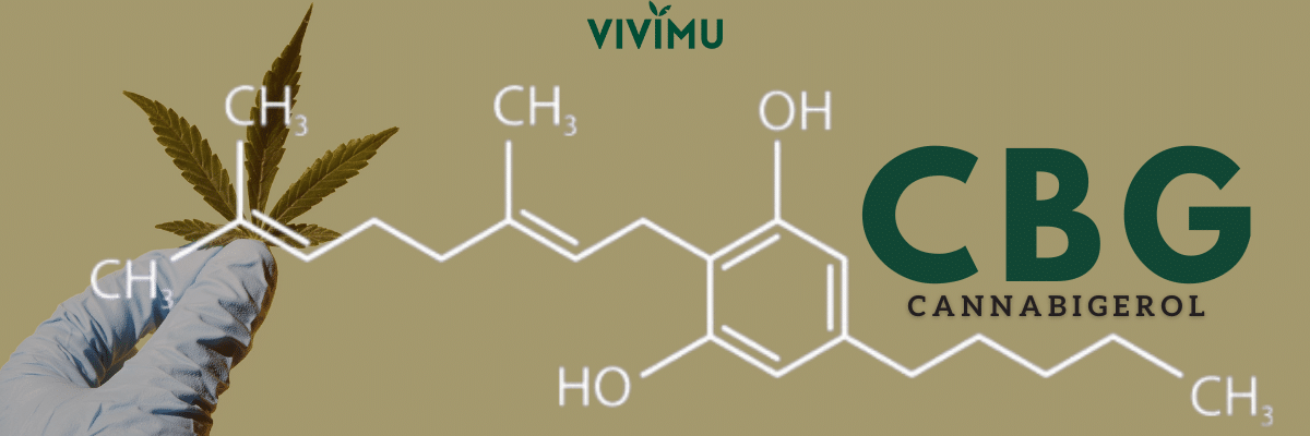 CBG Blog Informational