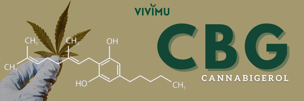 The complete guide to CBG