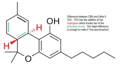 Difference between CBN and Delta 9 THC
