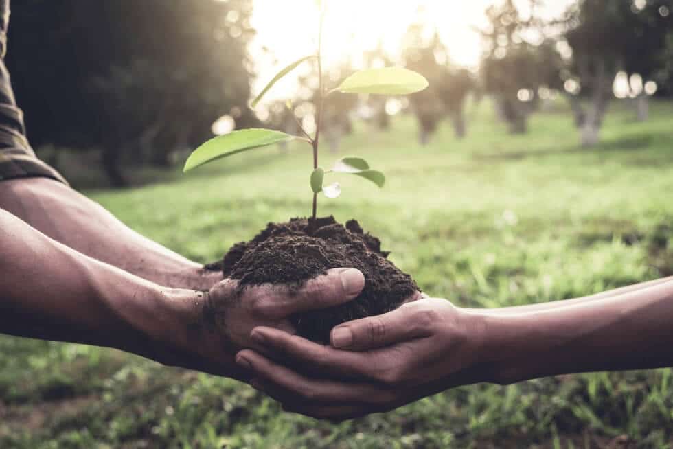 Tips on Preserving Your Cannabinoids