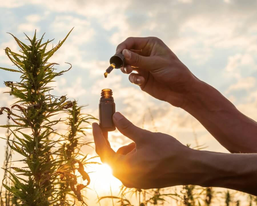 The Differences Between CBN vs. CBG