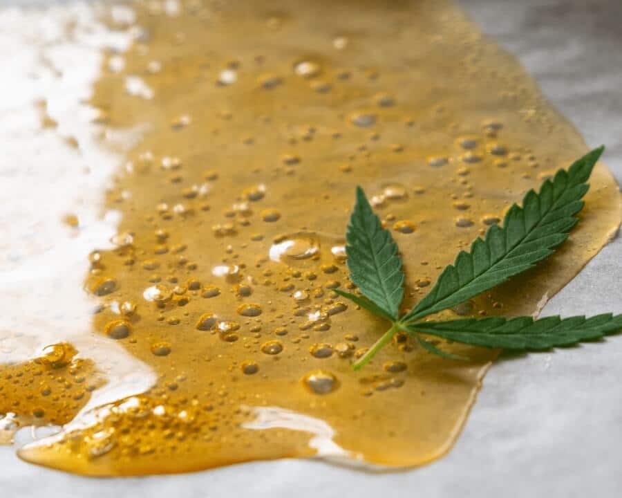 THCp Vs. THCo: What are the big differences?