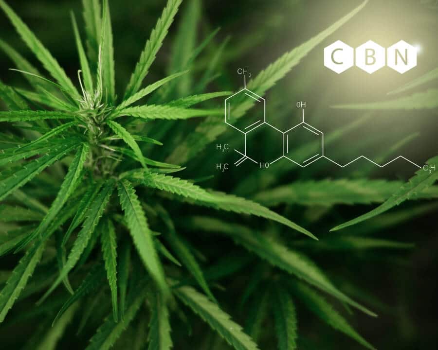 The Difference Between CBN and CBC