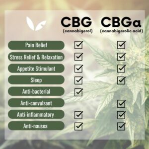 Benefits of CBGa and CBG