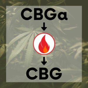 CBGa to CBG with HEAT