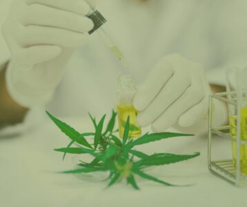 Live Resin Extraction