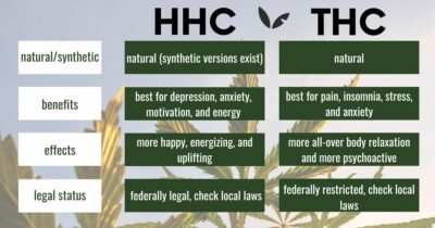 HHC vs THC
