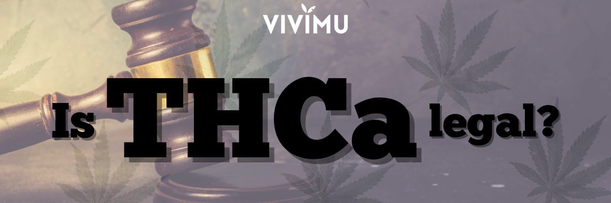 Is THCa Legal? – The Comprehensive Guide