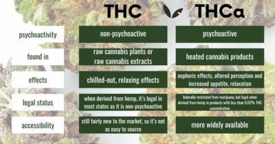 THC vs THCa Difference