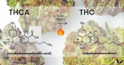 THC vs THCa Decard
