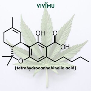 Model of the THCa Molecule