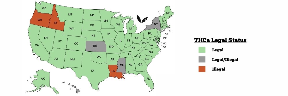Map of United States that shows where THCa is legal and illegal.