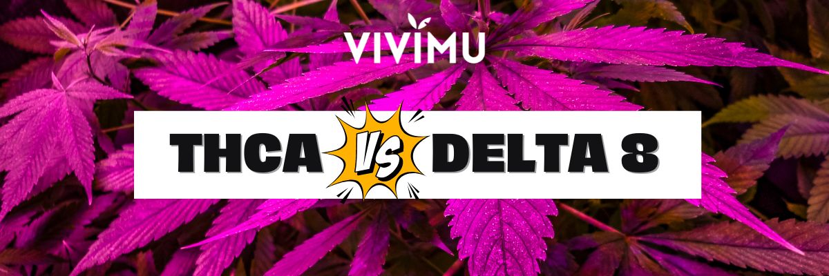 THCA vs Delta 8