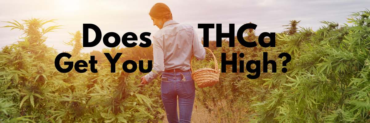 Does THCA Get You High