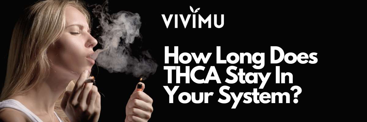 How Long Does THCA Stay In Your System