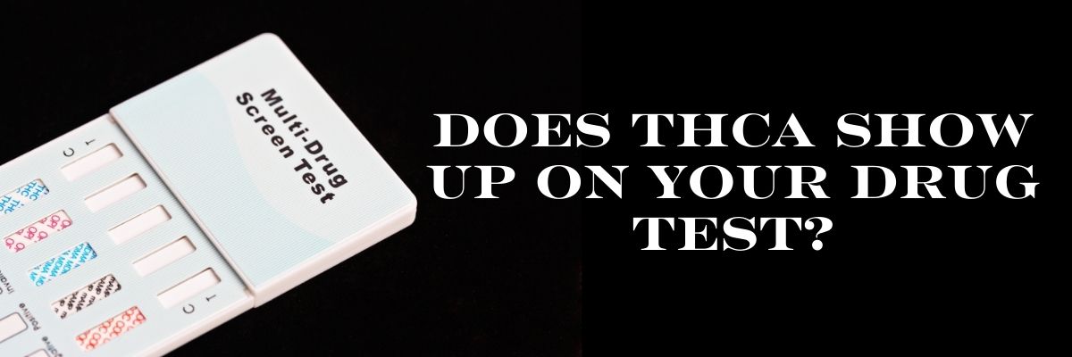 Does THCA Show Up on Your Drug Test