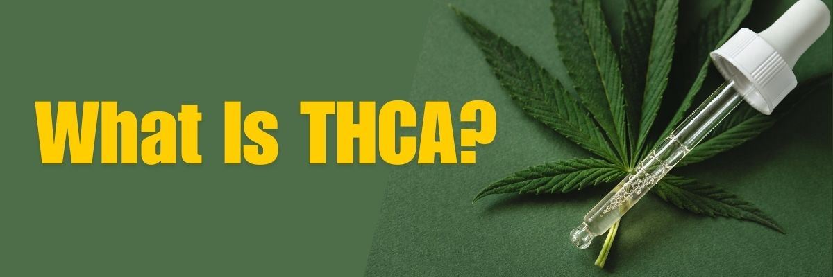 What Is THCA