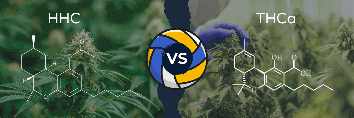 HHC Vs THCA