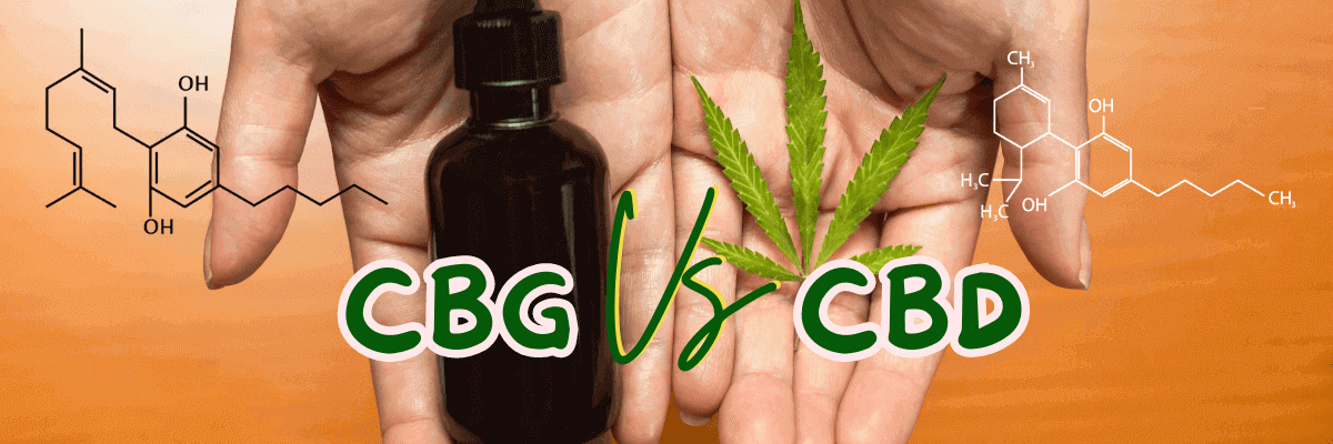 CBG Vs. CBD: What’s The Main Difference?