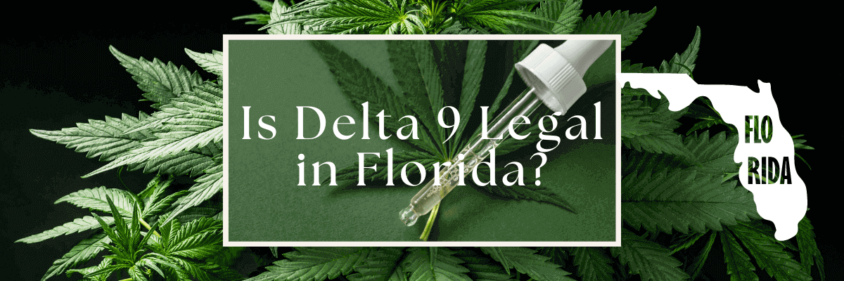 Is Delta 9 Legal in Florida
