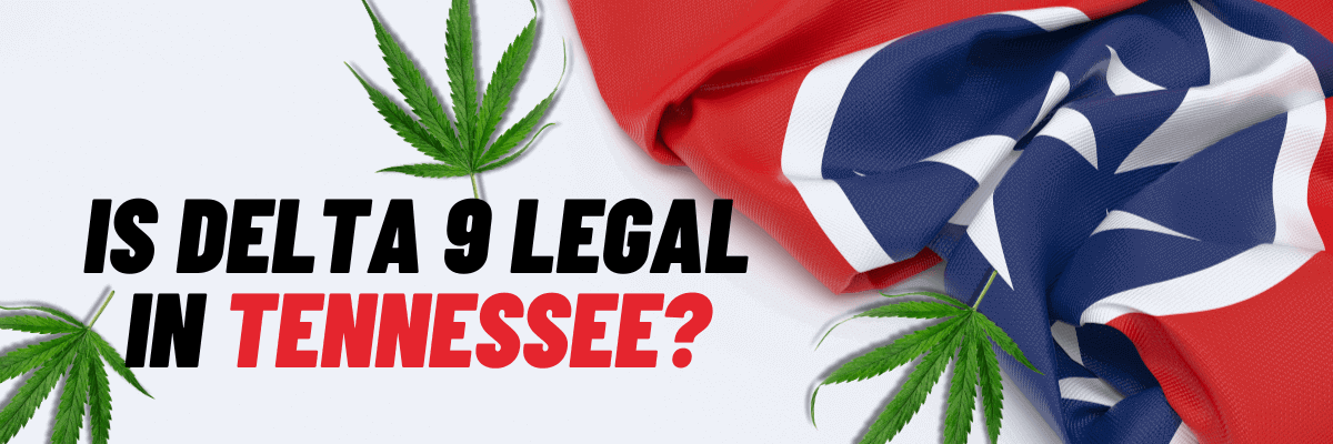 Is Delta 9 Legal in Tennessee