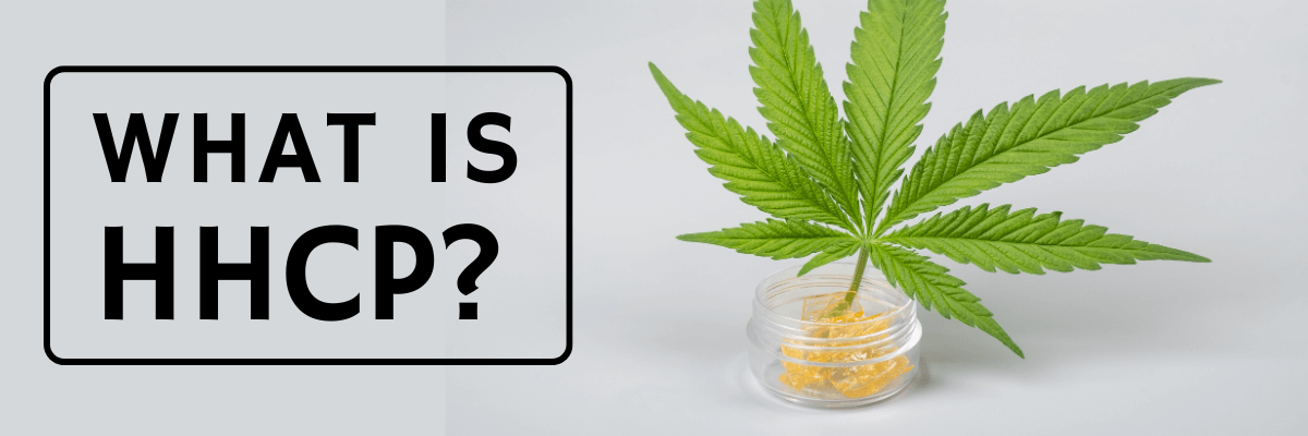 What Is HHCP? – Everything Need To Know