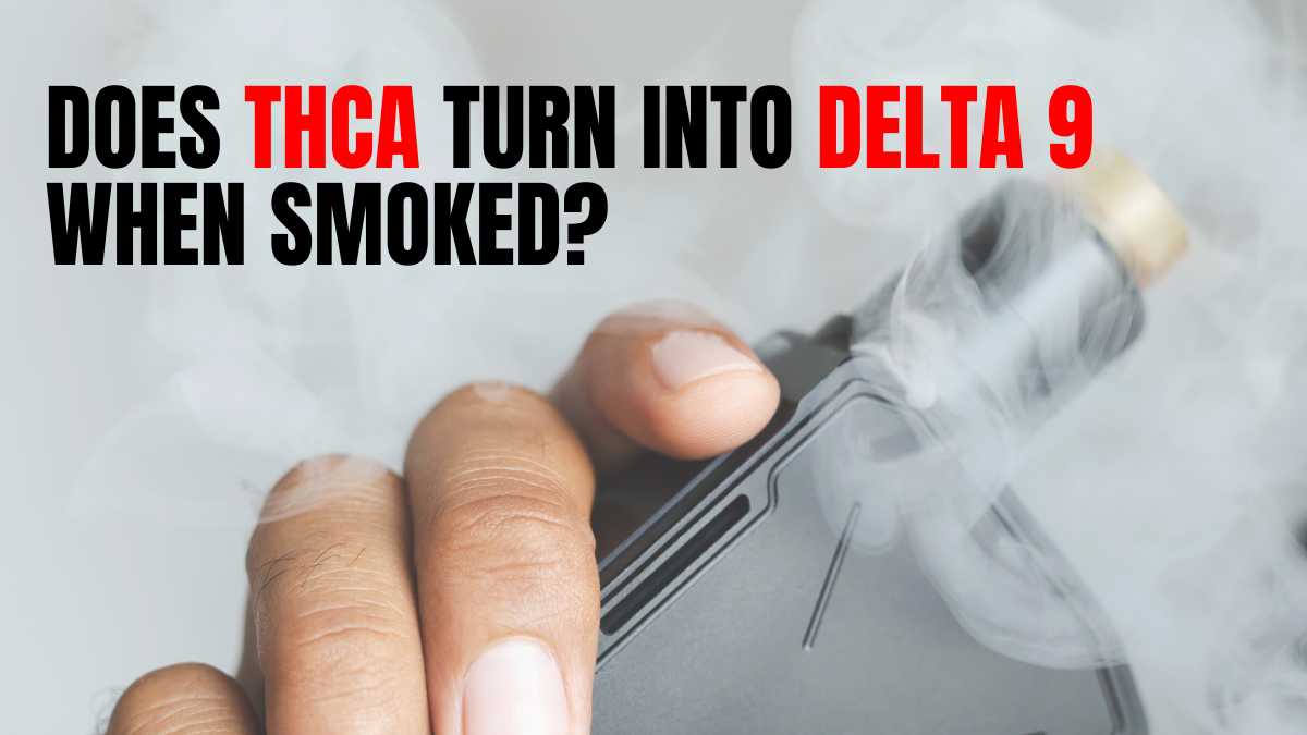 Does THCa Turn Into Delta 9 When Smoked