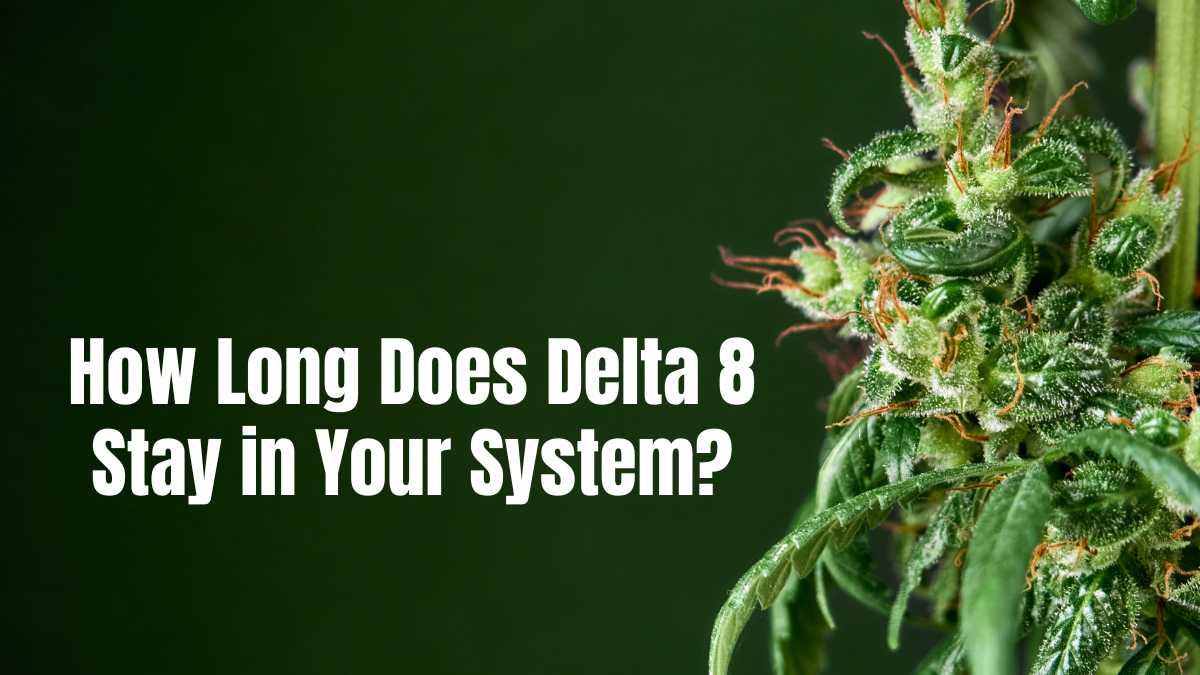 How Long Does Delta 8 Stay in Your System