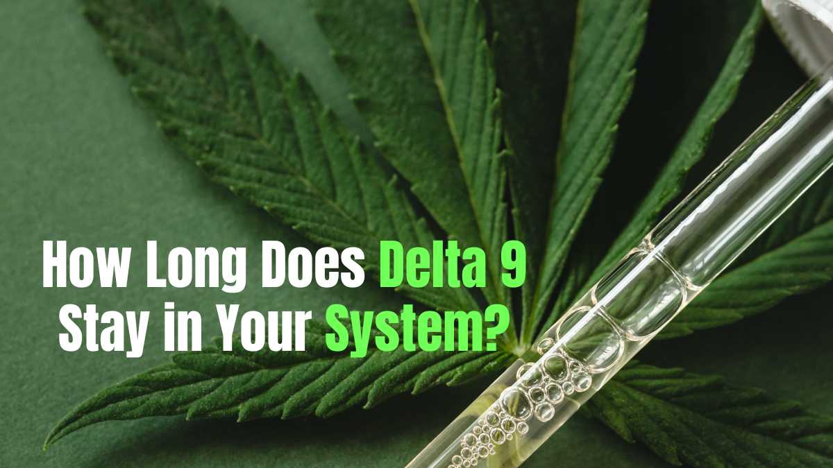 How Long Does Delta-9 Stay in Your System