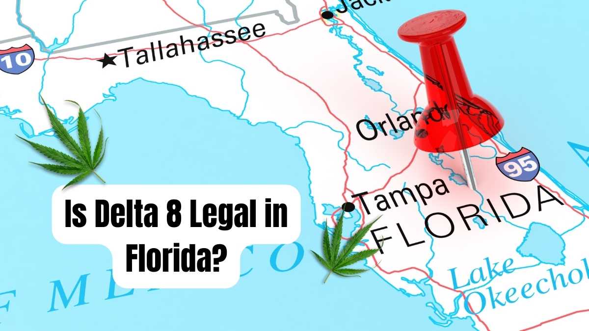 Is Delta 8 Legal In Florida?
