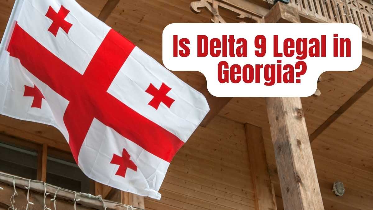 Is Delta 9 Legal in Georgia