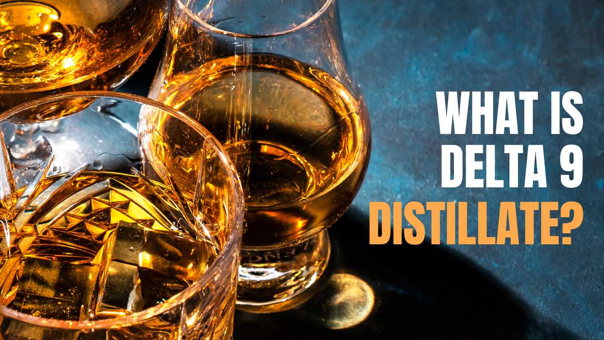 What Is Delta 9 Distillate