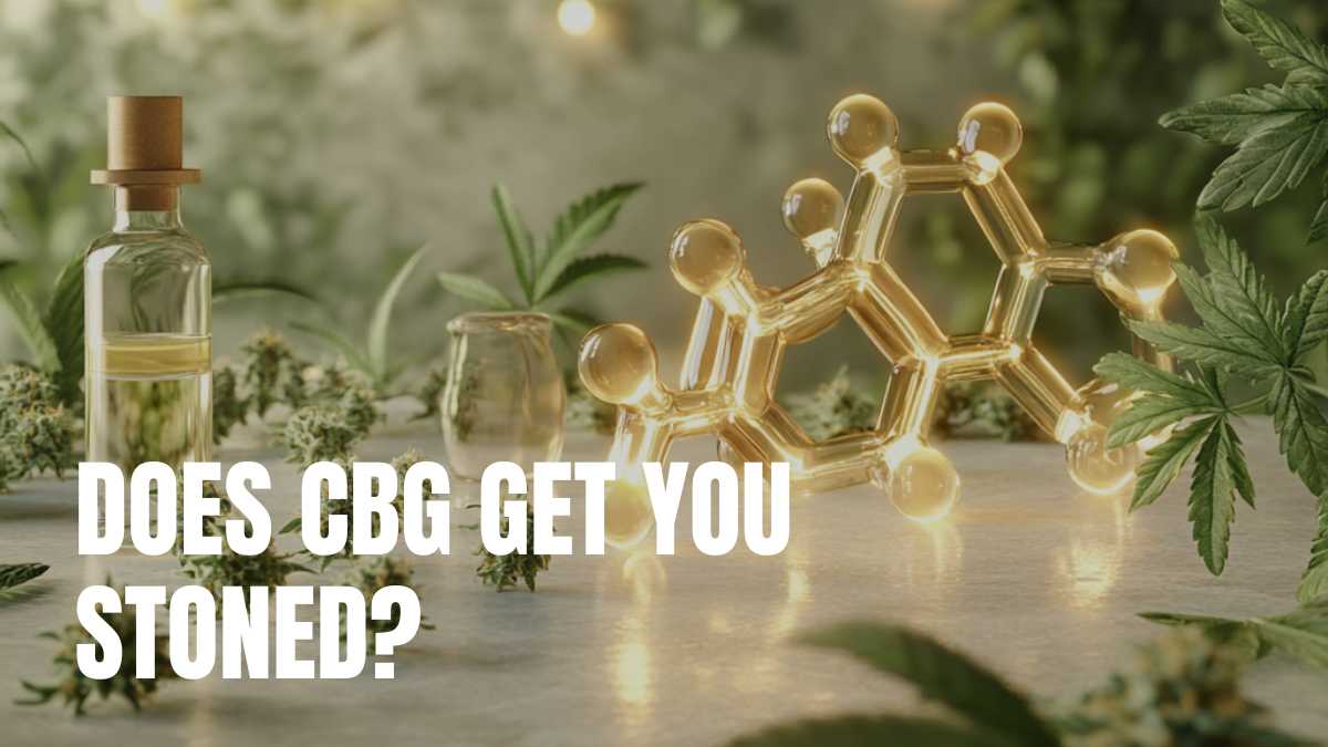 Does CBG Get You Stoned?