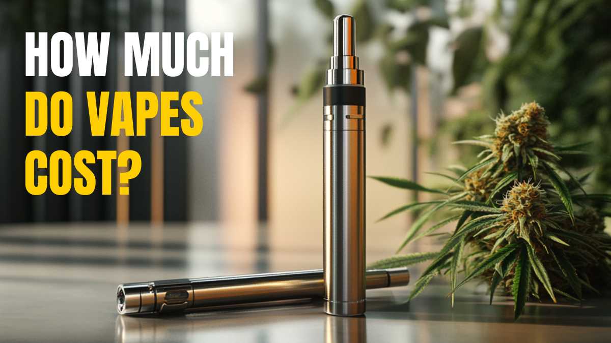 How Much Do Vapes Cost?