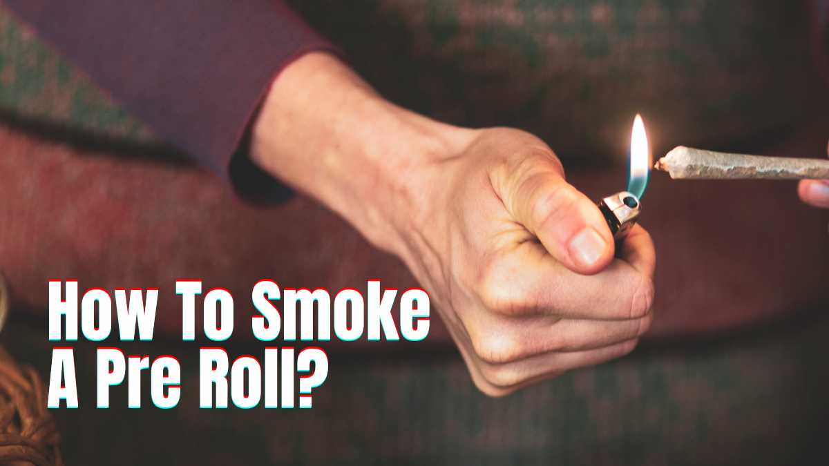 How To Smoke a Preroll