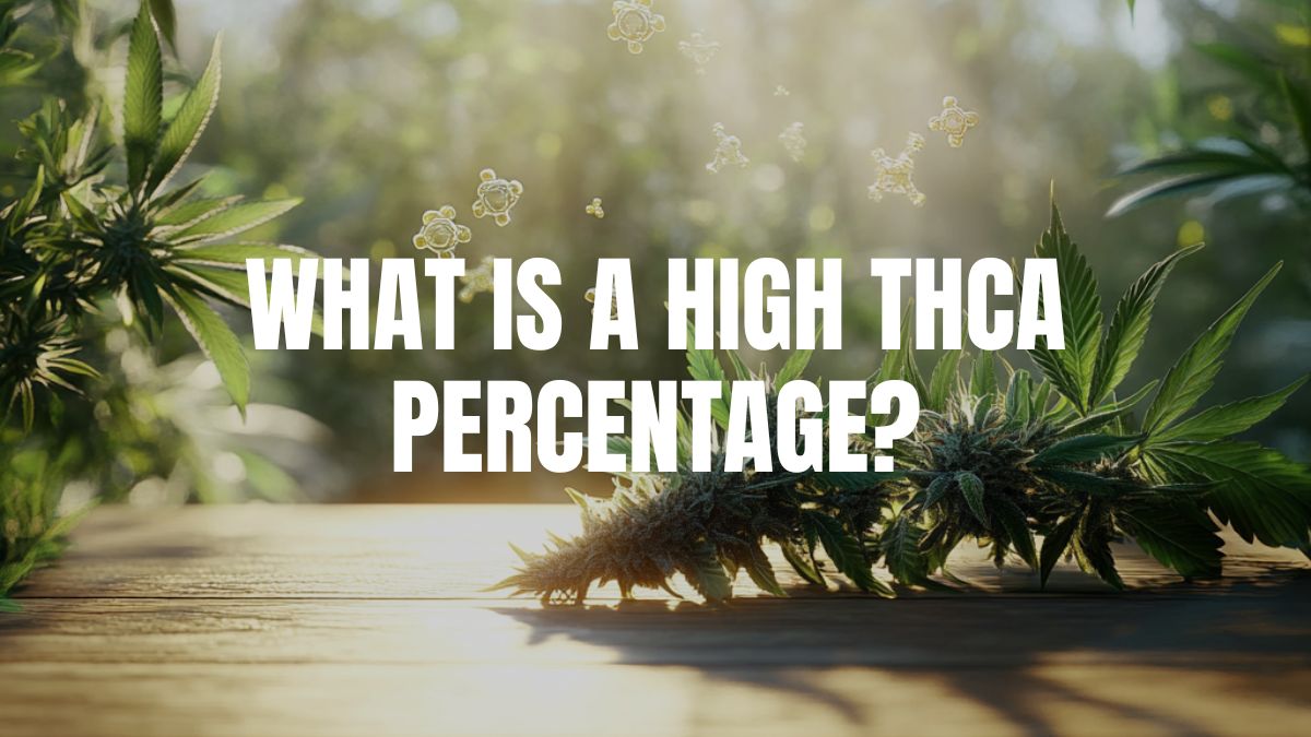 What Is A High THCA Percentage